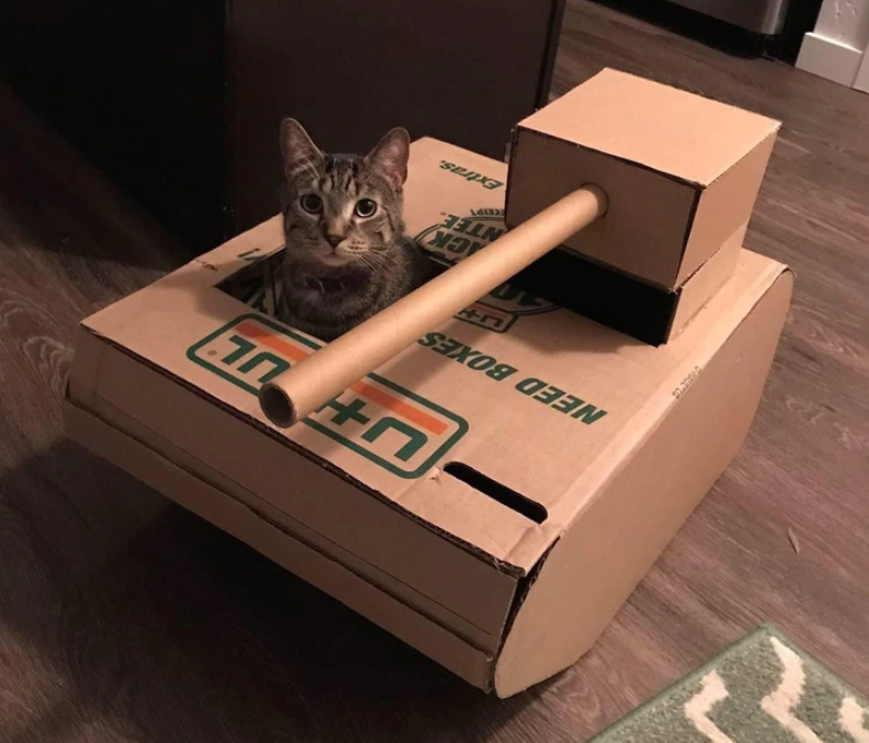 2. "Battle Cats: Feline Commandos in Cardboard Tanks"