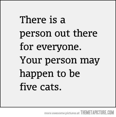 Sometimes, the cats are all you need, and honestly, they're way better than people anyway.