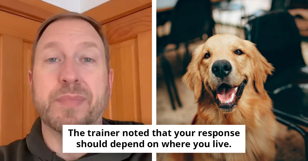 Why Dogs Make the Mysterious “Boof” Sound