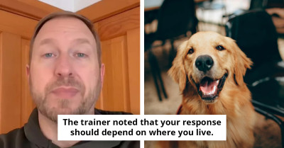 Why Dogs Make the Mysterious “Boof” Sound