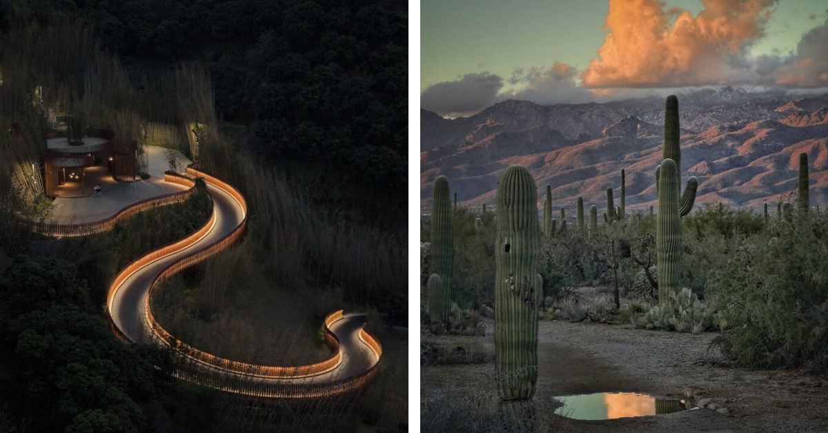The iPhone Photography Awards Just Revealed the Most Breathtaking Smartphone Photos of the Year