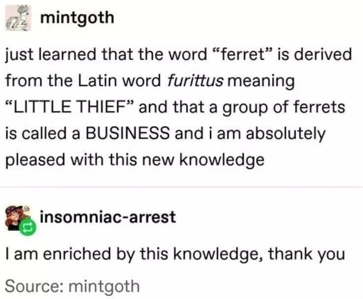 51. We learn each and every day