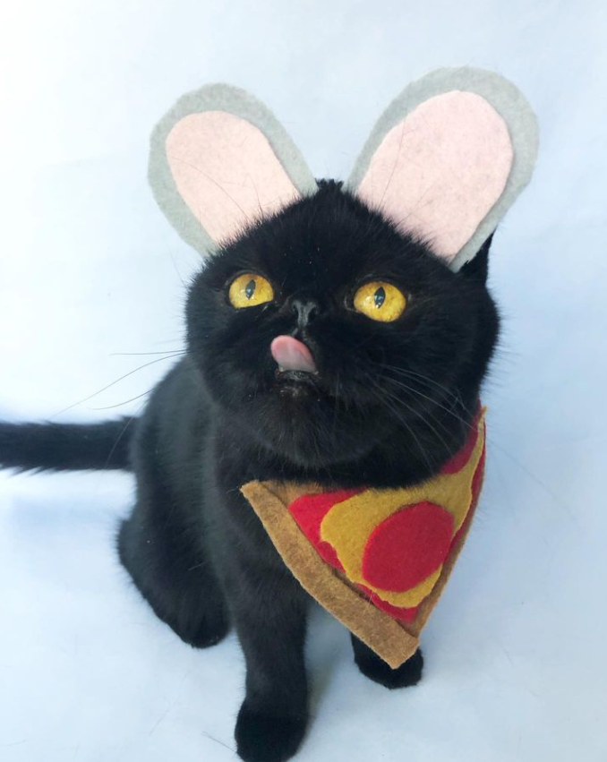 "Believe in your dreams 🍕"