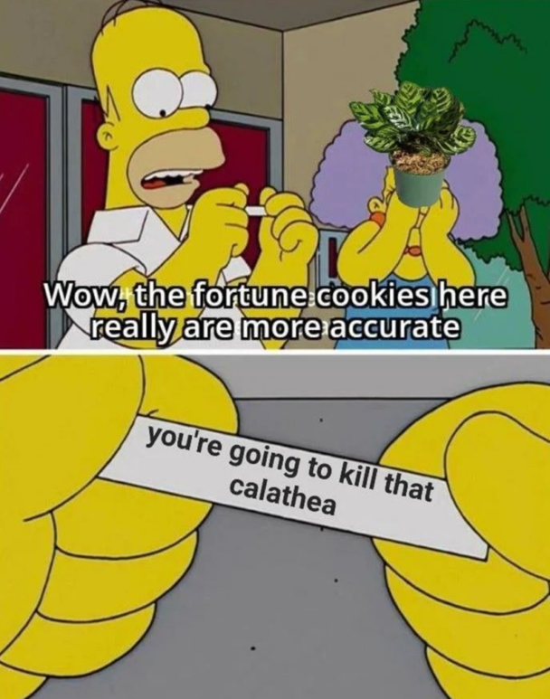 23. Well, obviously.