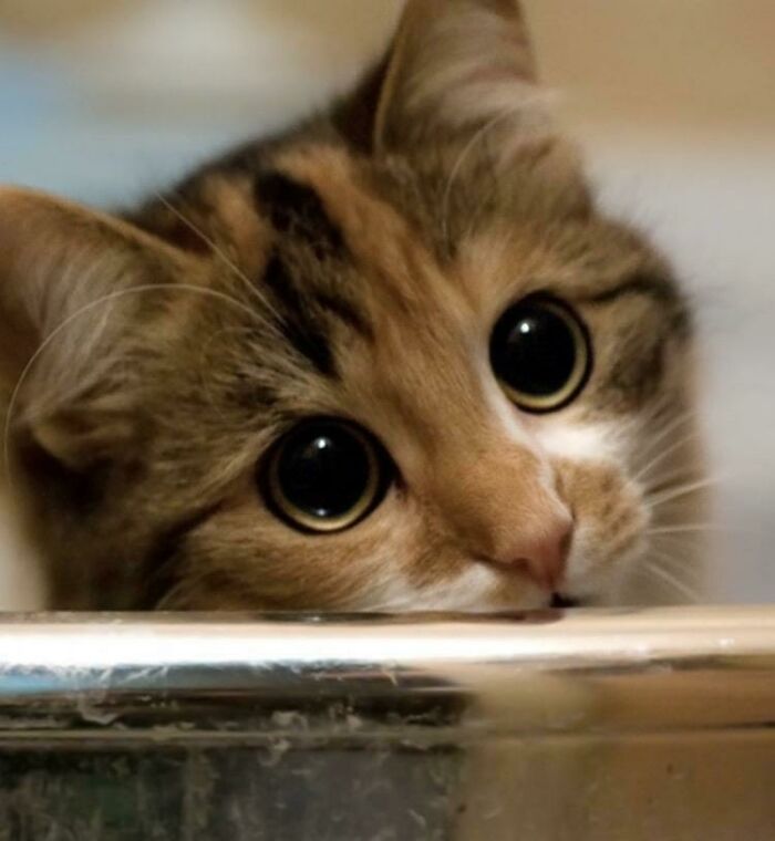 4. "These eyes are quite something."