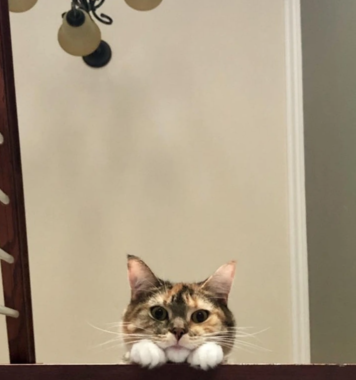 7. "Every Single Day: A Ritual of Returning from Work"