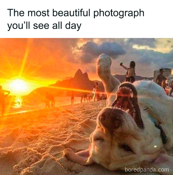 47. The happiness is contagious