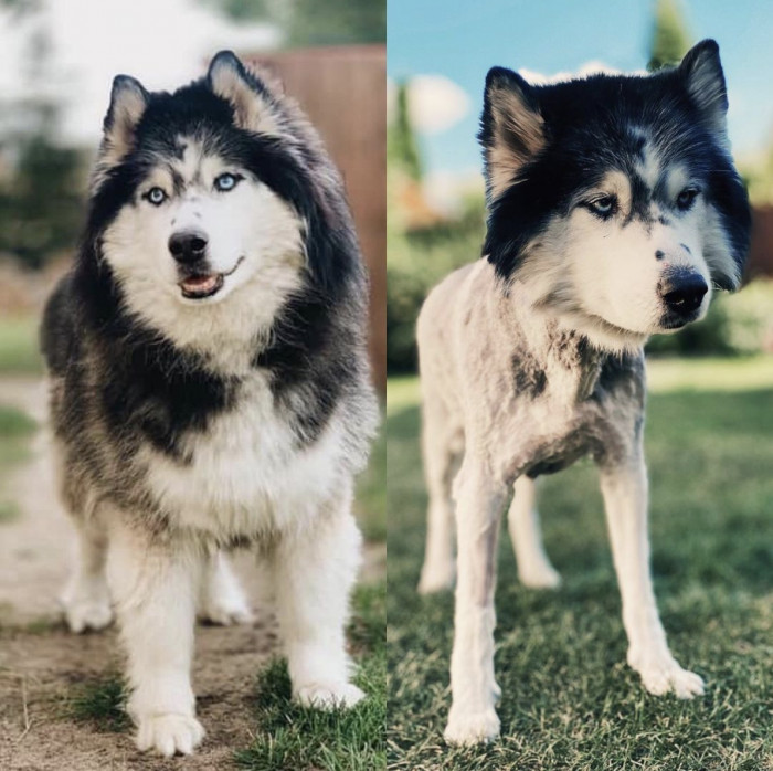 30. The joy has left its eyes.