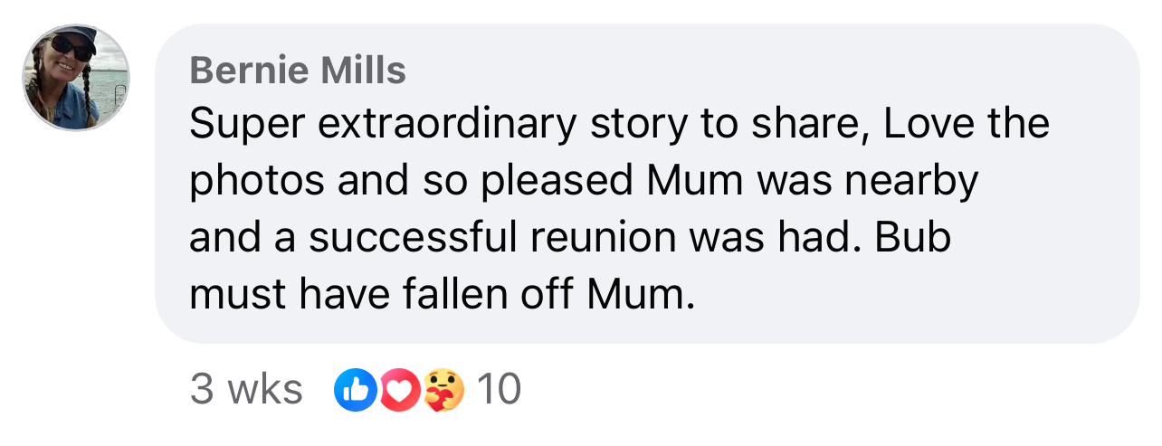 These are the kind of stories we love to see.