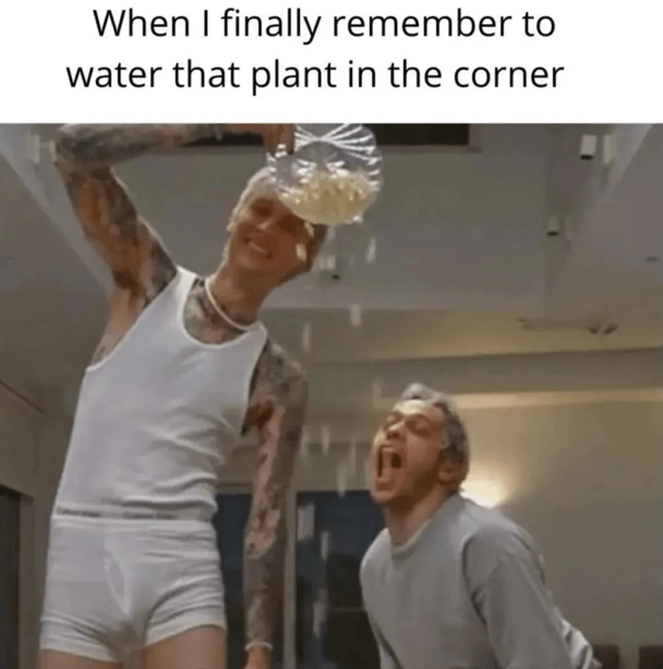 21. It's a party up in here!