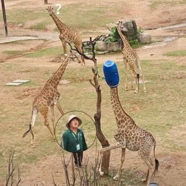 34. That's a tough one