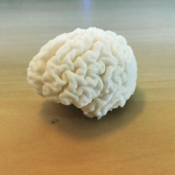 16. āNot Sure If Thereās An Interest In 3D-Printed Brains? Hereās Mine From 2016 When I Converted My (And My Friendsā) fMRI Scans Into A Printable STL.ā