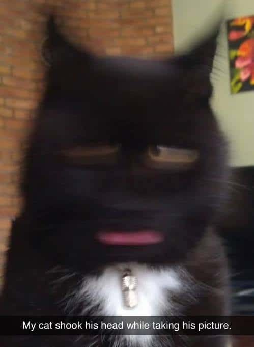 18. It's So Accurate, Though