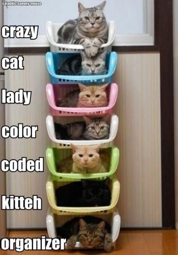 Well, at least they will know who is who and which cat is which, even if they all look the same.