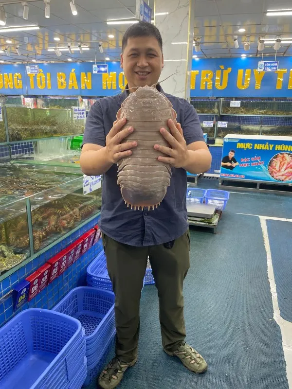 In October 2024, Dr. Nguyen Thanh Son was photographed holding a massive specimen of another giant isopod species, Bathynomus jamesi, which weighed 2.62 kilograms and was sourced from a seafood market in Hanoi.