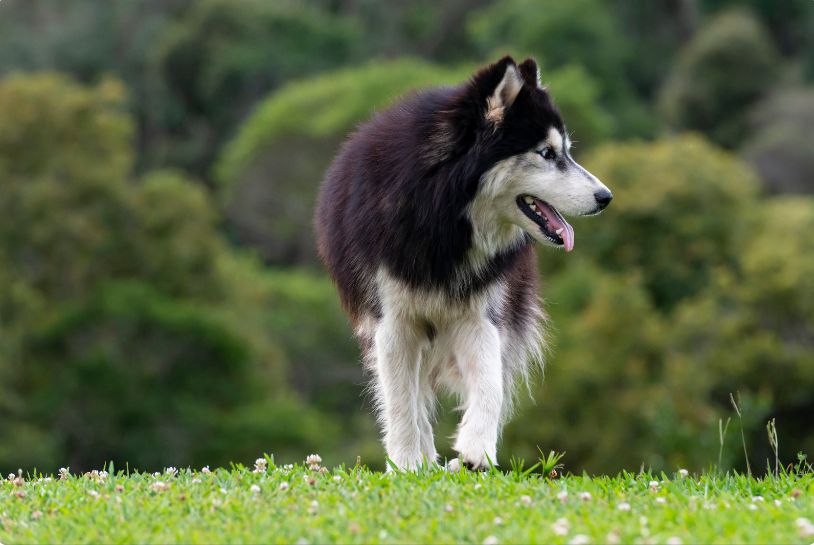This user responded in kind — with his rock and heavy metal music.