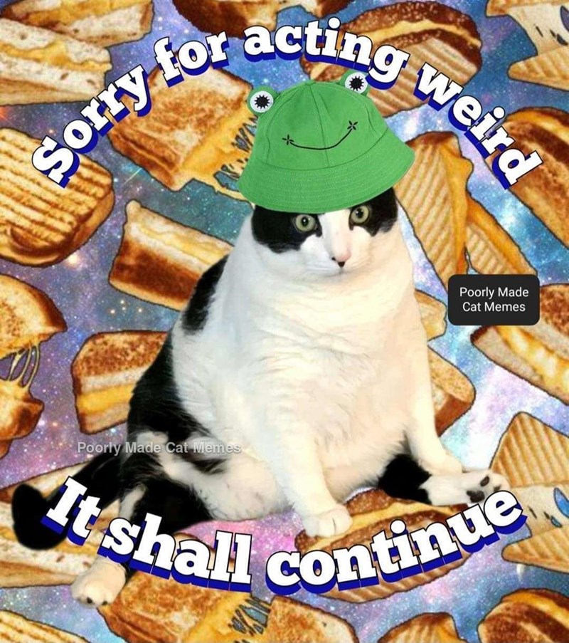 53. Poorly Made Cat Memes