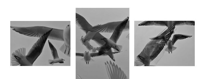 Series, 1st Place, Photo By Lasda Takbanuaz (Taiwan)