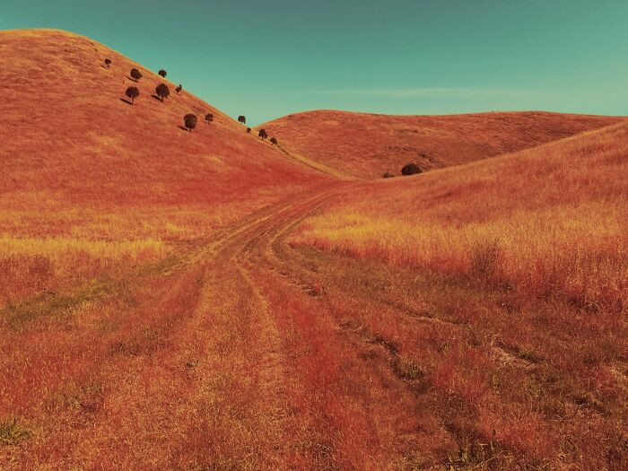 Landscape, 1st Place, Photo By Anthony Ginns (Australia)