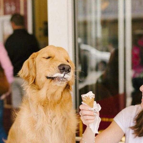 "He’s enjoying that ice cream."