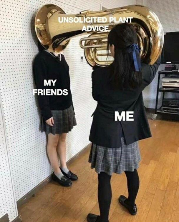 1. Unsolicited plant advice