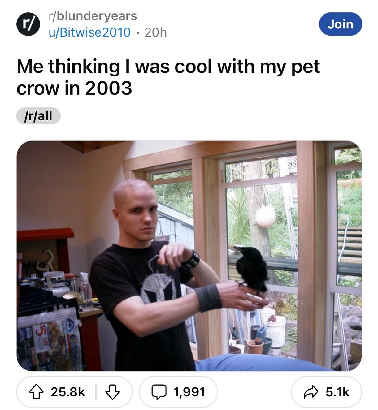 Look at that stance; the crow sure knows he’s got a cool dad.