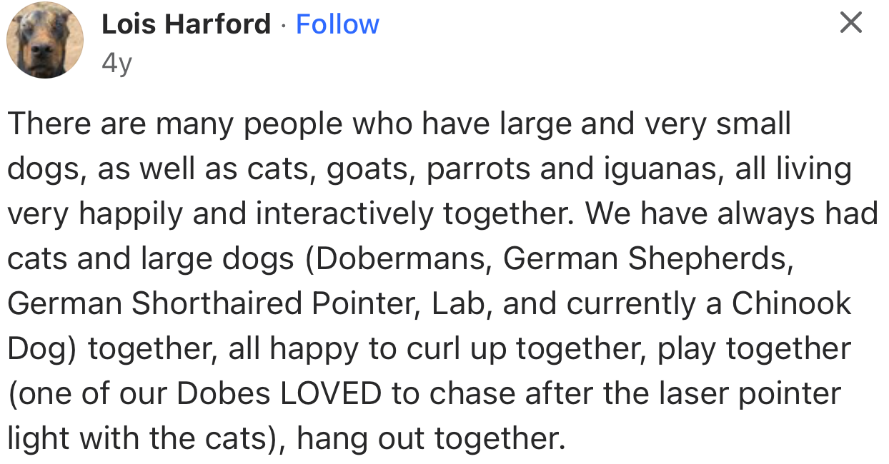 “There are many people who have large and very small dogs, as well as cats, goats, parrots, and iguanas, all living very happily and interactively together.”
