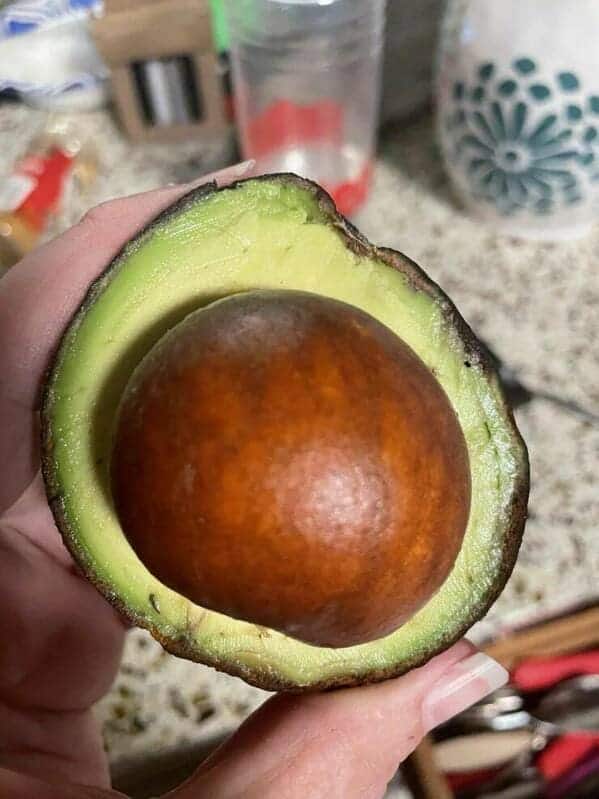 "My mom just opened her newly ripened avocado... seed?"