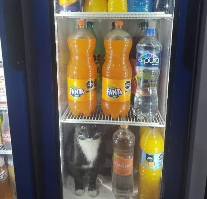 30. Ooooo I’ll Take The One On The Bottom Left