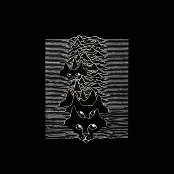 40. Joy Division as a cat.