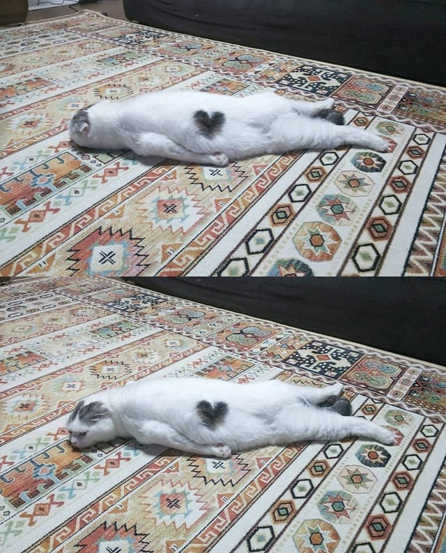 18.