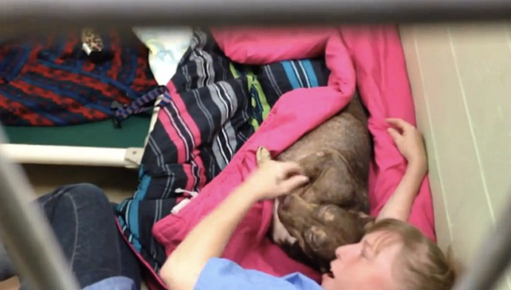 Chrissy was worried about Prissy waking up alone.