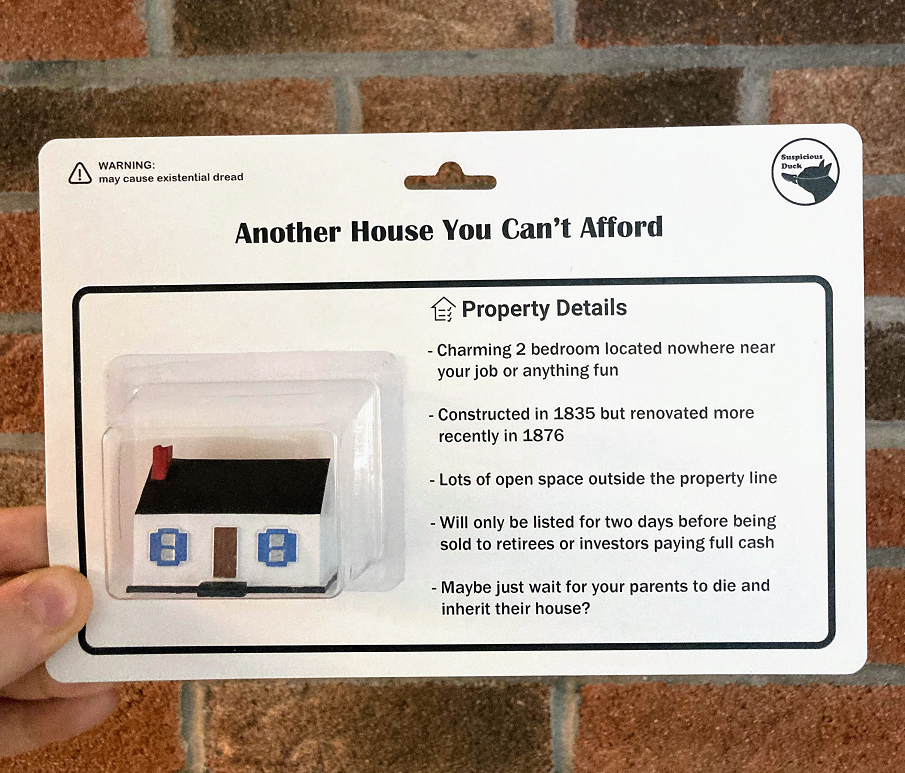 6. āI Modeled, Printed, And Painted This Little House To Express My Frustration With The Housing Marketā