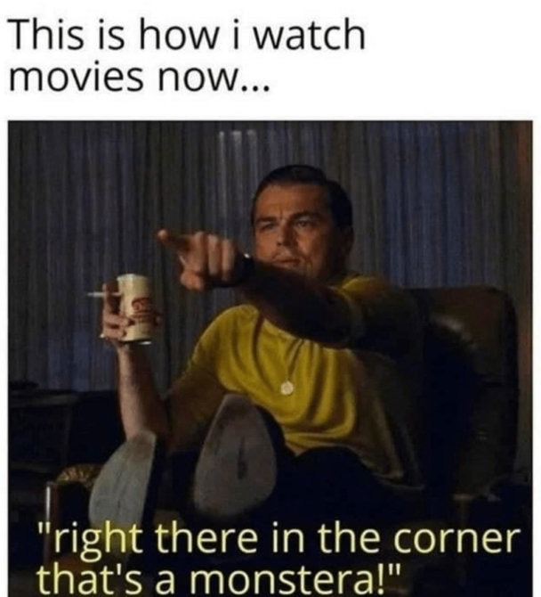 7. It's so beautiful!